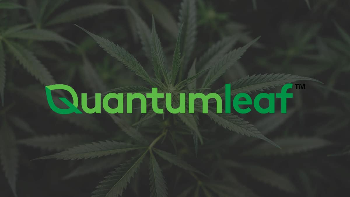 Quantum Leaf Solutions software and team