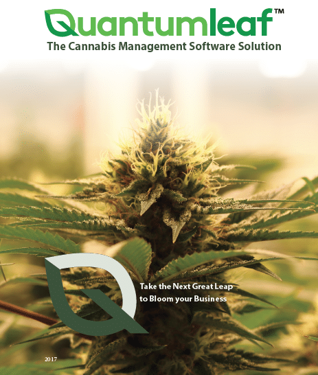 Cannabis industry overview whitepaper